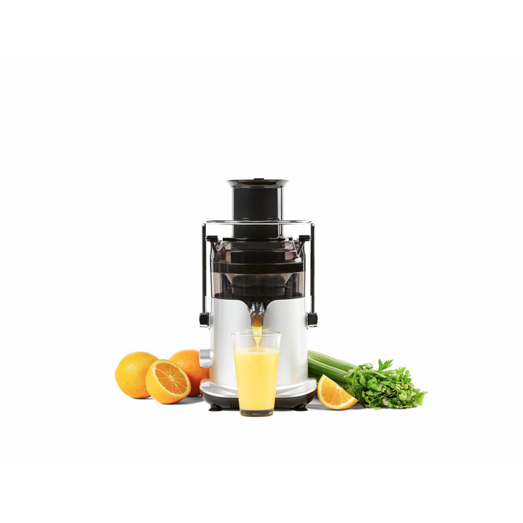 PowerXL SelfCleaning Juicer & Reviews Wayfair